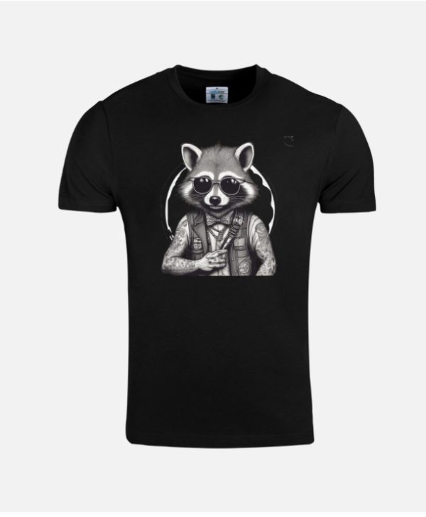 Chanteur Racoon